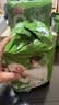 拉面范今麦郎非油炸方便面寻味中华河南烩面家庭速食鲜汤羊肉113g*5袋 实拍图