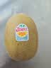 佳沛（zespri）新西兰金奇异果10粒巨大果146-175g猕猴桃水果礼盒 实拍图