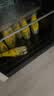 可口可乐怡泉可口可乐怡泉 Schweppes +C 柠檬味汽水 碳酸饮料 400ml*12瓶 实拍图