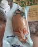 求仙岛香辣原味混合鱿鱼仔带籽即食海鲜深海捕捞休闲零食500g儿童 实拍图