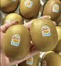 佳沛（zespri）新西兰金奇异果15粒巨大果146-175g猕猴桃水果礼盒 实拍图