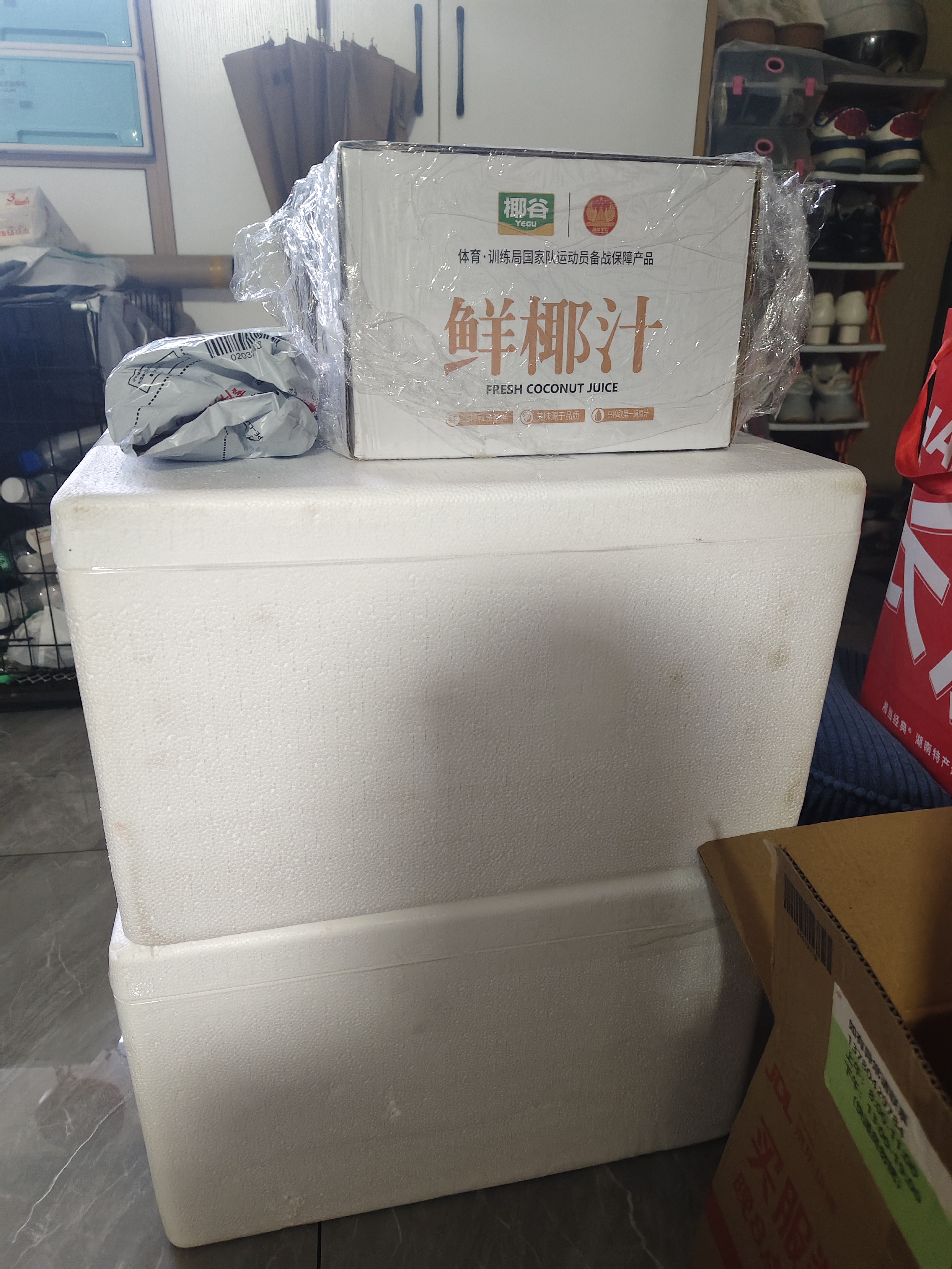 椰谷（YEGU）鲜椰汁 245g*12支装 椰子汁椰奶椰肉生榨植物蛋白饮料整箱 实拍图