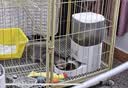 霍曼（Homerun）Real智能自动喂食器猫粮定时猫猫咪自动投食机PF20（不锈钢碗） 实拍图