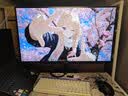 SANC盛色27英寸 2K280Hz氧化物技术FastIPS快速液晶HDMI2.1硬件低蓝光 旋转升降电竞电脑显示器屏幕G74 实拍图