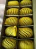 佳沛（zespri）新西兰金奇异果10个装单果重103-114g猕猴桃水果礼盒 实拍图