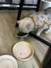冠能猫粮室内成猫猫粮60g*3 全价猫粮 添加膳食纤维 控制毛球 实拍图