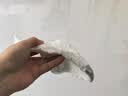 babycareAirpro拉拉裤大号mini装XL20片(12-17kg)婴儿尿不湿秋冬不闷汗 实拍图