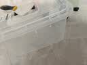 Cetomo 透明收纳箱特大号整理箱带提手外体积27L 41*28.5*23cm 1个装 实拍图