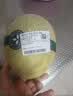 北纬23°西州蜜瓜1粒约1.3kg 实拍图