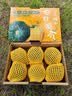 京鲜生内蒙沙漠贝贝南瓜 净5斤(粉糯瓜) 中果300g+辅食 源头直发 实拍图