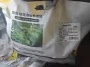 京东跑山猪黑猪排骨 1.6斤 含脊骨含软骨 红烧炖汤猪肋骨生鲜食材 实拍图