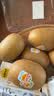 佳沛（zespri）新西兰金奇异果8粒特大果124-146g猕猴桃中秋节礼品送水果礼盒 实拍图