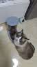 网易严选猫粮【推荐】全价猫粮 幼猫成猫主粮猫咪食品 一口9种肉 【多猫家庭】原野禽肉口味 1.8kg*4袋 实拍图