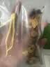 京东京造一整根人参十宝茶360g 黄精玛咖肉苁蓉杜仲雄花补阳养生精肾男性 实拍图