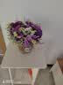 爱满（AIMAN）云南鲜花干花花束勿忘我情人草组合满天星客厅真花插花家居摆设 六色勿混搭+黄水晶+草含圆花篮 实拍图