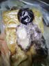金唐正宗金汤佛跳墙260g*3盒 海参鲍鱼花胶预制菜方便菜 实拍图