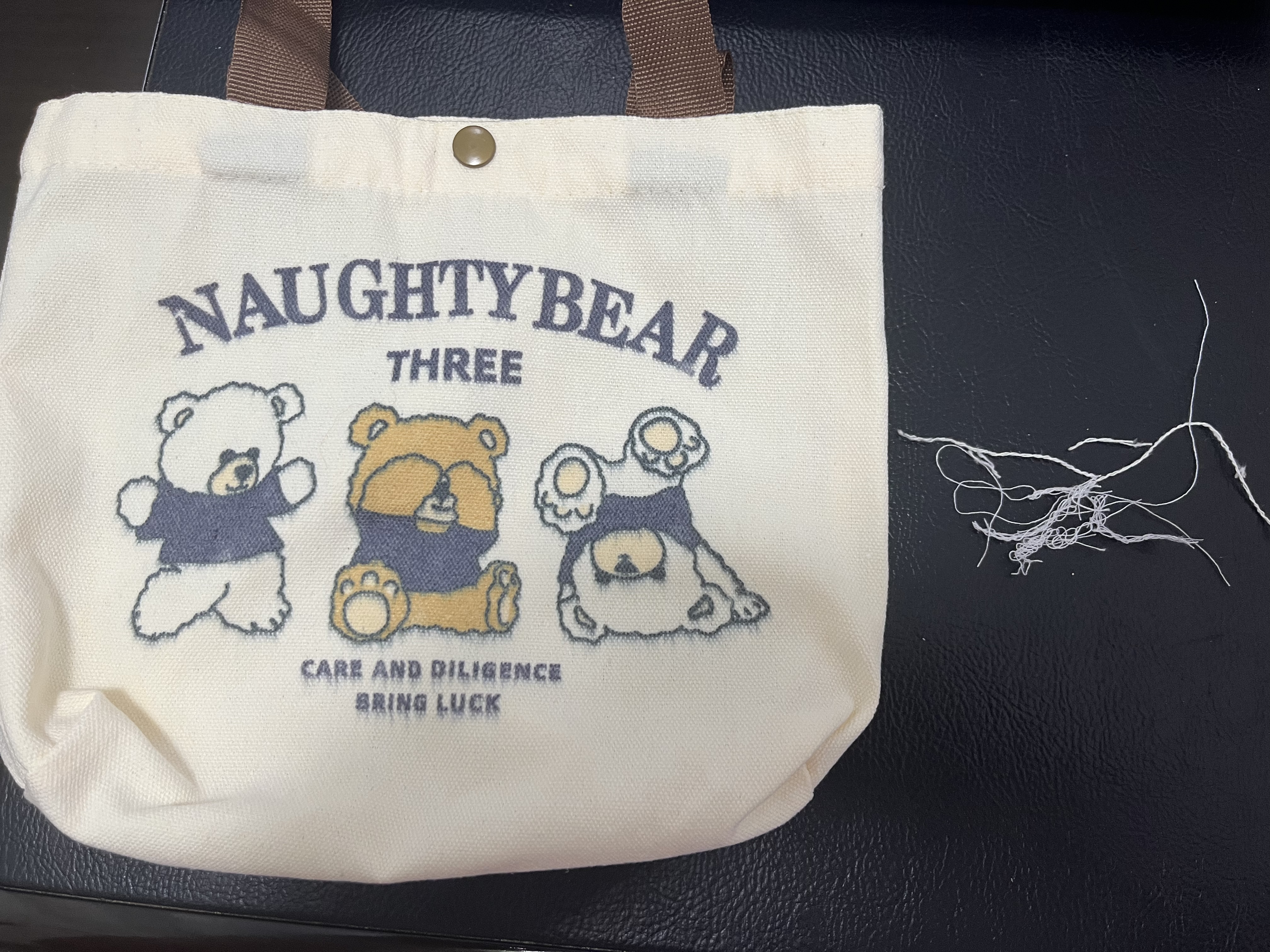 心动购物季学生可爱凯缇画包帆布包学生绘画出行可爱草莓小熊超萌凯缇猫便携小包收纳方便手提 三只小熊帆布包加厚 实拍图