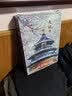 AIPUZZLE成人拼图1000片 天坛成年高难度减压拼图家居装饰生日礼物礼品 实拍图