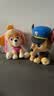 汪汪队立大功（PAW PATROL）毛绒玩具陪睡玩偶经典款阿奇中号坐姿公仔男女孩儿童生日礼物 实拍图