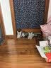 伟嘉猫粮成猫全价猫粮亮毛蓝猫均衡营养10kg海洋鱼夹心粮【原料透明】 实拍图