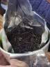 乐品乐茶高山绿茶浓香耐泡高性价比口粮茶特级明前春茶 500g自饮2026新茶 实拍图