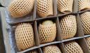 佳沛（zespri）新西兰金奇异果18粒优选果103-124g猕猴桃中秋节礼品送水果礼盒 实拍图