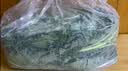 京鲜生云南新鲜羽衣甘蓝净重3.5斤 新鲜蔬菜 榨汁 健康轻食 源头直发 实拍图
