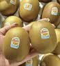 佳沛（zespri）新西兰金奇异果12粒特大果124-146g猕猴桃中秋节礼品送水果礼盒 实拍图