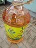 金龙鱼 食用油 非转基因 物理压榨玉米油6.18L（蕴含植物甾醇） 实拍图