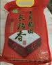 十月稻田 长粒香大米 10斤（东北大米 香米 5kg/公斤） 实拍图