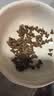 雷米高（RAMICAL）澳丽得 猫粮蓝猫英短主粮幼猫成猫海洋鱼味全价猫粮试吃500g 1斤 实拍图