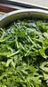 蒿子杆300g(茼蒿） 实拍图