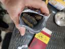 皇纯【威海产地】优选淡干海参50g7-12只 干货底播刺参 源头直发包邮 实拍图