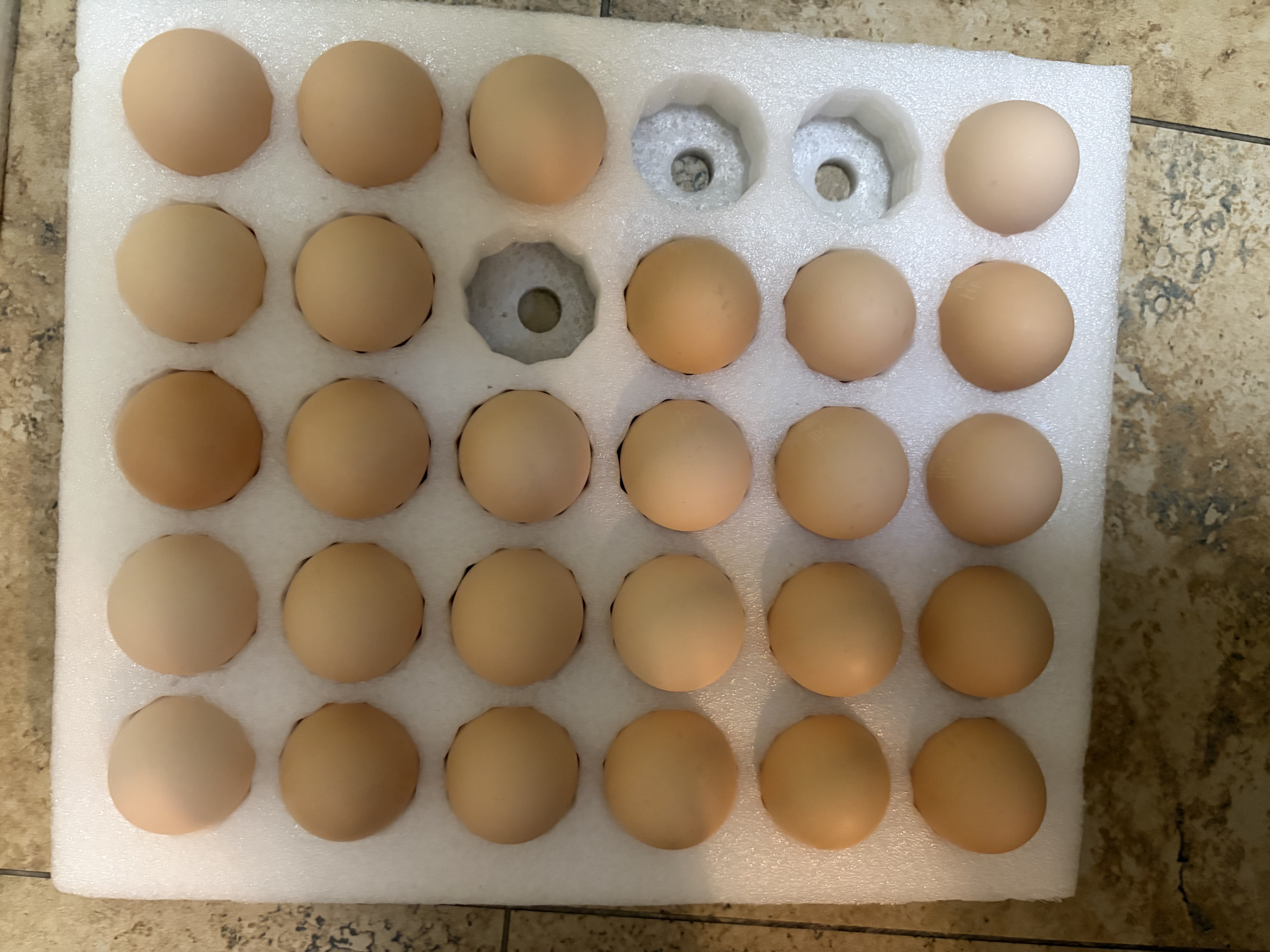 京鲜生180°安心鲜鸡蛋30枚 健康轻食 中秋礼盒 1.5kg/盒 源头直发 实拍图