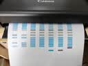 佳能（Canon）TR160手提便携式打印机小型办公迷你移动无线车载电池户外A4手机照片学生家用合同室外TR150升级 TR160标配+两年延保 实拍图