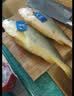 三都港 冷冻黄花鱼700g/2条装 大黄鱼深海鱼 生鲜鱼类 海鲜水产中秋礼品 实拍图