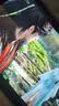 宏碁（acer）平板电脑柔光护眼屏儿童1-12岁AI学习机老年人用约11寸大屏幕2026最新款追剧pad教育优惠6GB+128GB 实拍图