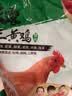 温氏供港三黄鸡1.6斤 冷冻 90天农家土鸡慢养走地鸡 红烧白切煲汤食材 实拍图