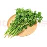 【火锅季】带根香菜100g 实拍图