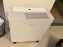 美的（Midea）54升小方物除湿机100㎡家用抽湿机干衣机 5m泵压上排水地下室除湿器CF54BS/DA (支持鸿蒙智联) 实拍图