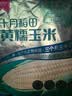 十月稻田 黄糯玉米 8根 3.52斤 真空包装 东北甜粘玉米棒 低脂早餐 实拍图