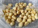 小熊（Bear）打蛋器304不锈钢棒 家用电动打蛋机 迷你奶油打发器 烘焙手持自动搅蛋器搅拌器DDQ-F01K3 实拍图