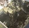 臣源潜水泵220V家用不锈钢污水泵排污泵自动带浮球农用抽水泵农田灌溉 实拍图