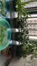 奥美优加仑盆花盆树脂透气防烂根塑料种植盆栽盆带托盘一体家用加厚 实拍图