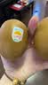 佳沛（zespri）新西兰金奇异果22粒巨大原箱146-175g猕猴桃水果礼盒 实拍图