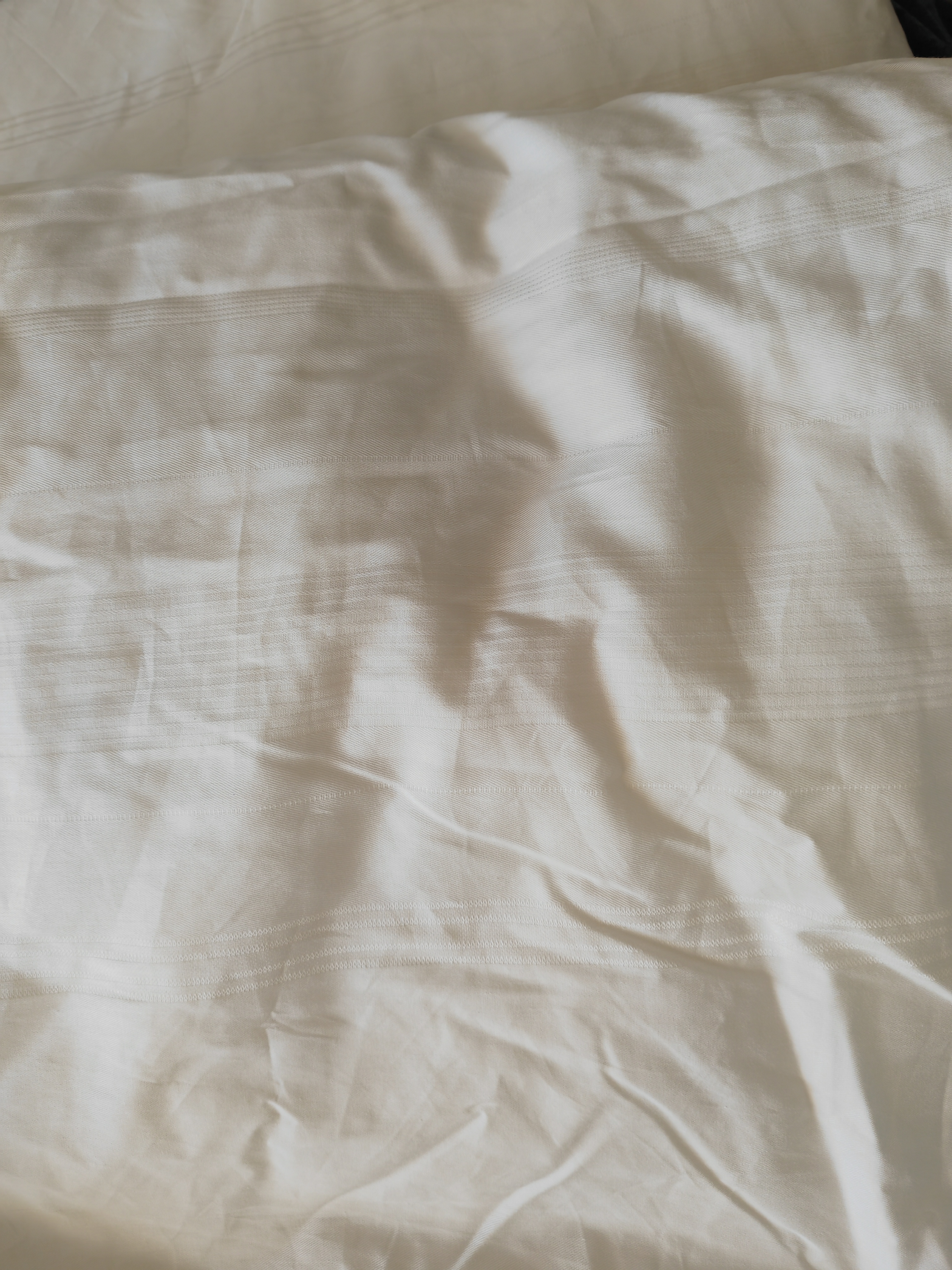 京东京造经典蚕丝被子四季通用春秋被芯空调被-四季被200x230cm 实拍图