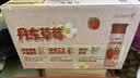 伊利安慕希丹东草莓风味酸奶230g*10瓶  礼盒装 实拍图