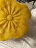 稻香村DXC 传统糕点 休闲点心 零食饼干 绿豆冰糕120g（桂花味） 实拍图