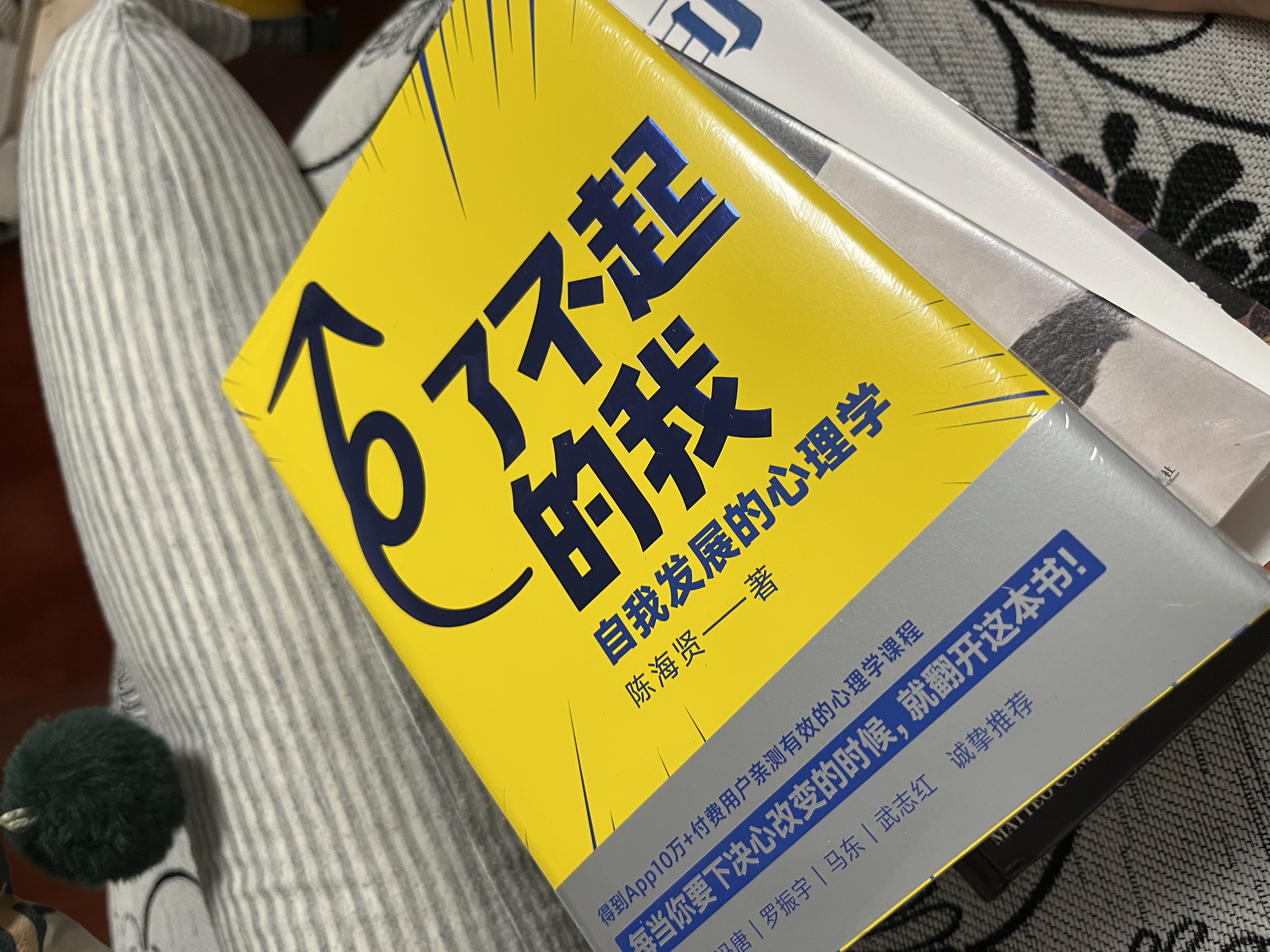 了不起的我：自我发展的心理学（陈海贤重磅新作，得到App10万+付费用户亲测有效 ）得到图书 实拍图