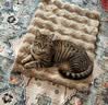 HELLOJOY猫窝垫子猫毯子冬季睡觉用宠物猫咪毛毯保暖狗窝冬日加厚兔绒睡垫 实拍图